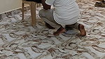 Fucked His Wife for Interest