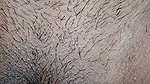 Beautiful Indian girl with big tits enjoys sucking cock with Indian guy and gets fucked a lot