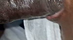 Beautiful Tamil girl cheating husband sucking hard cock