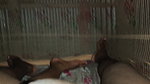 Desi Bangla wife and husband