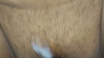 Desi bengali hot boudi