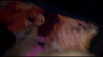 Desi bhabhi anal sex in doggy style