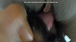 Hot house wife yummy pussy licking