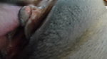 Hot house wife yummy pussy licking