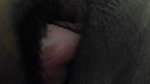 Hot house wife yummy pussy licking