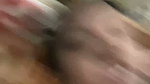 Beautiful BigAss GF Hard Fucking Moaning updates  3