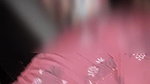 Deshi girl anal Indian Village girl deshi