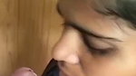 Horny GF Giving a Blowjob & Fucking her Pussy with a Stick and a Brush  12