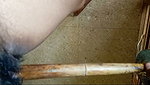 Horny GF Giving a Blowjob & Fucking her Pussy with a Stick and a Brush  4