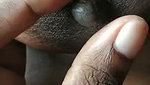 Newly Wed Tamil Couple – Showing Boobs Riding Fucking in Doggy & MIssionar  2
