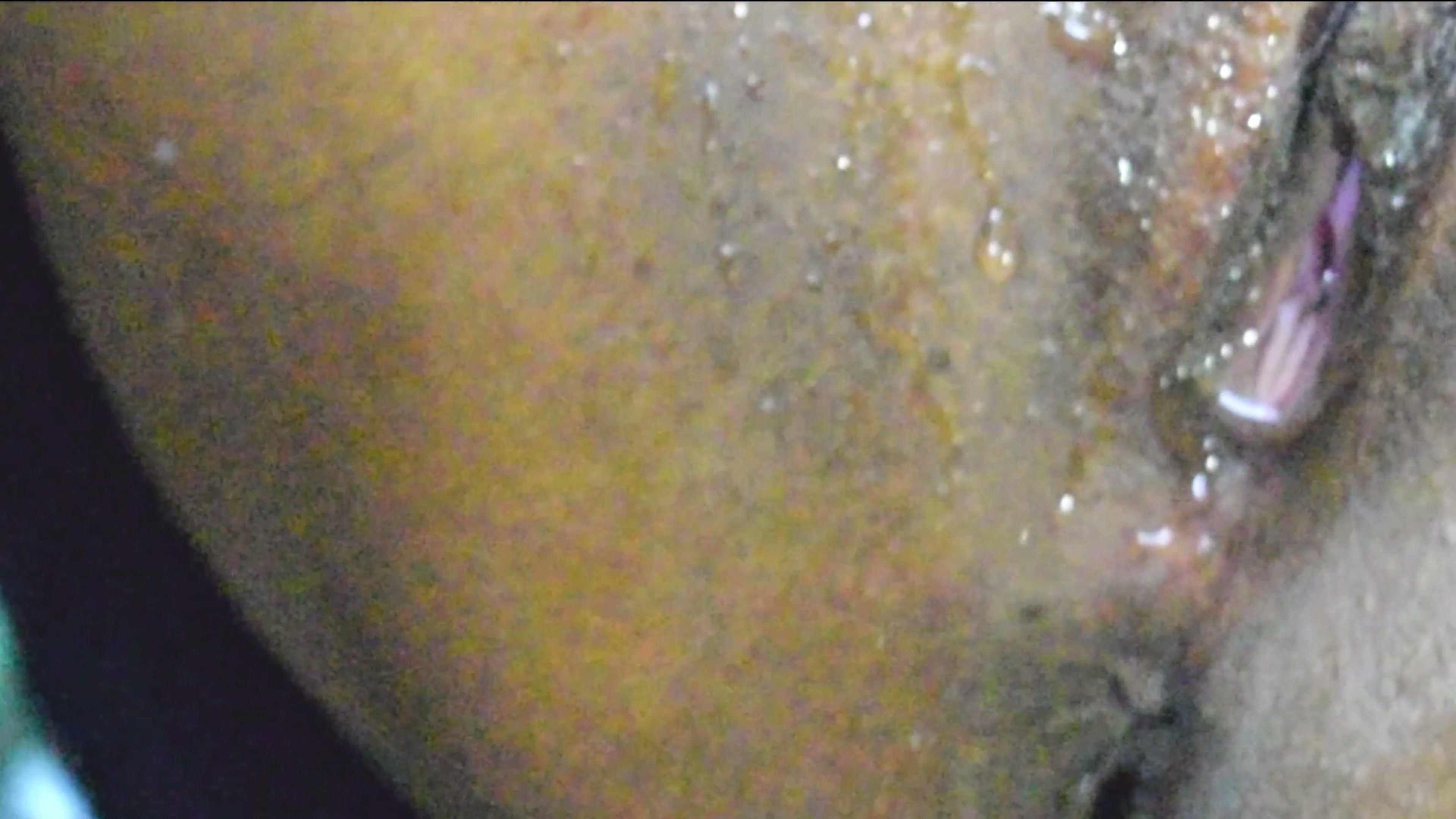 Frame 8
