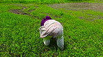 Desi Village Big Ass Girl First Time Try to Anal Sex