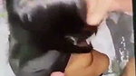 Bangali Girl Fucking Multiple Guys, Threesome, Blowjobs, Full Nude Cosplay updates 1