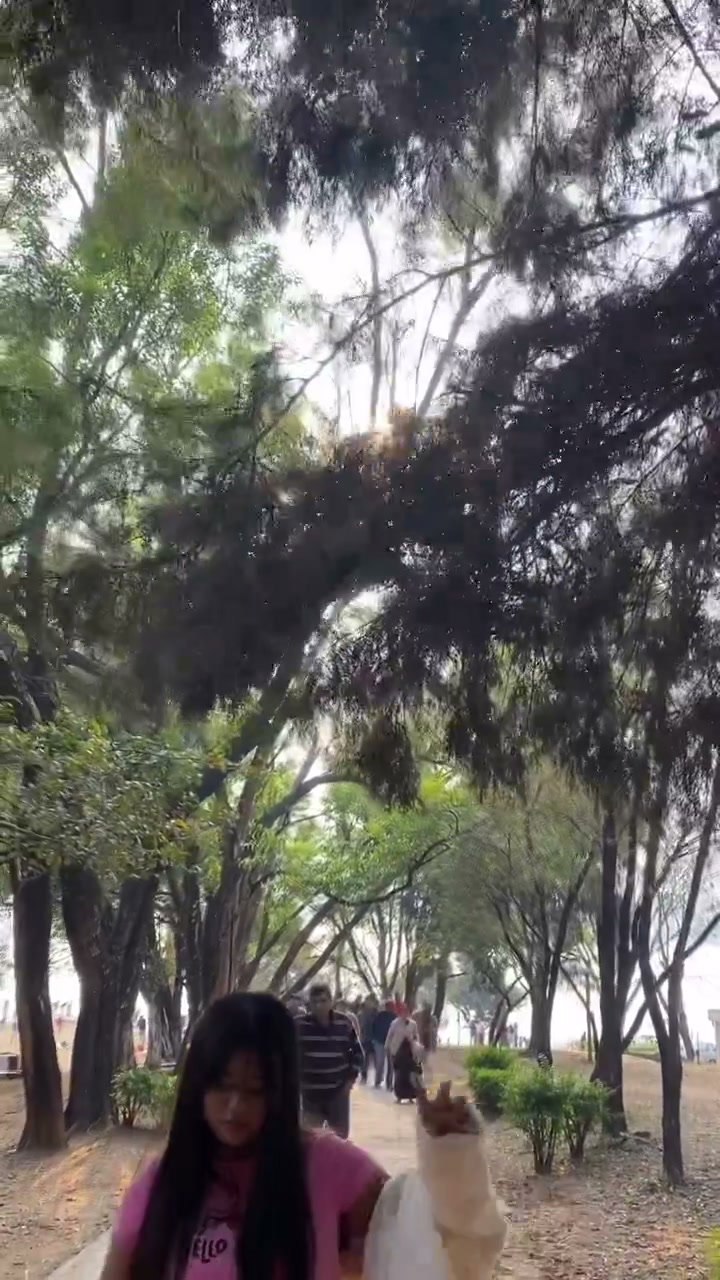 Frame 6