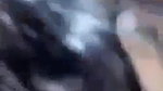 Beautiful Boudi Sucking and Riding