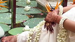 hot malayali girl sexy in traadtional white kerala costume 1