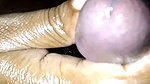 Desi Wife’s Land Sucked