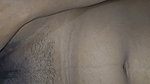 My Wife Is Very Hot and Sexy