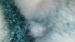 New Bangla Desi Romantic Video Full HD High-quality Bangla Desi Video Collection. High-quality Bangla Desi Video Collection.