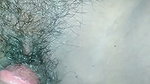 Real Bangla Desi Romantic Couple Video
