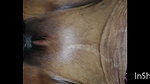 Sexy Bhabhi Was Left Stunned After Removing Her Hair