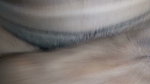 Stepsister Riding Stepbrother Cock