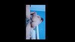 Story Girlfriend and Boyfriend