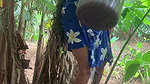 The Desire That Arose When I Went to the Forest to Bring Something to Cook.