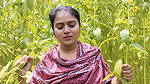 Video of Fucking a Beautiful Desi Girl While Eating Jute