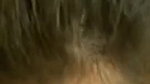 Desi GF hoot suk n taking onherBoobs