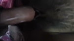 Indian Desi House Wife