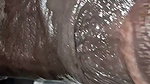 Beautiful Tamil Girl Cheating Husband Sucking Hard Cock