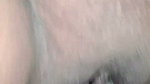 Beautiful Tamil Girl Cheating Husband Sucking Hard Cock. Part 2