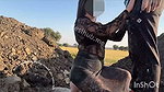 Beuatiful Bhabhi Sex with a Delevery Boy at Roadside