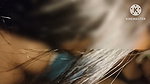 Deshi wife sucking cock and sex in the morning