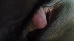 Hot House Wife Yummy Pussy Licking