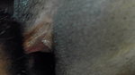 Hot House Wife Yummy Pussy Licking