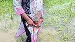 I Brought a Beautiful Young Woman From the Village to My Place and Fucked Her Doggy-style 4
