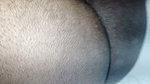 Neighbour Boyfriend Fucked Bhabhi Anal