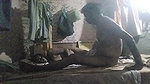 Pati or Patni Ki Jabardast Chudai
