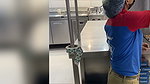 Pizza Delivery Girl Gets Her Pussy Fucked