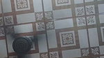 She Goes Live and She Ask Me Fuck Me Live I Fuck Live Chubby Bhabhi