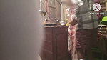 The House Owner Secretly Left the Maid Cool, and Put the Whole Cock in the Mouth