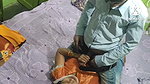 Very Cute Sexy Indian Sali Very Hot Indian Jija and Sexy Chudai