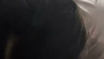 Beautiful Babe Giving a Sloppy Blowjob & Swallowing 3
