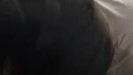 Beautiful Babe Giving a Sloppy Blowjob & Swallowing 3