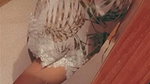 Beautiful Cute & Horny Bengali Babe Showing & Mastrubating updates 6