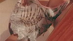 Beautiful Cute & Horny Bengali Babe Showing & Mastrubating updates 6