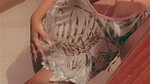 Beautiful Cute & Horny Bengali Babe Showing & Mastrubating updates 6