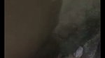 SEXY THICK ASS INDIAN BADDIE BOOBS PLAY & FINGERING HAIRY PUSSY MOANING ~ FULL 1